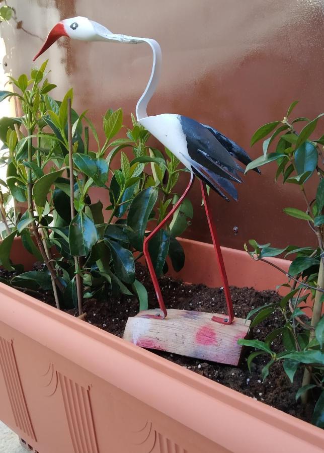 カランバカVirgin Rocks Houseアパートメント エクステリア 写真